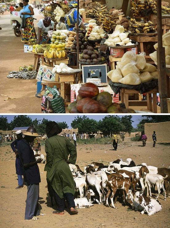 The exchange of products between sedentary farmers and nomadic herders remains an integral feature of the existence of a variety of African populations. 