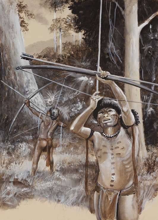 The Yanomamö men practiced hunting in the jungle using bows and arrows that were frequently poisoned. 