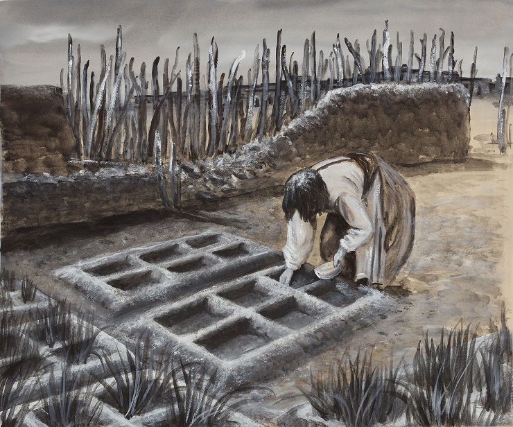 Specifický způsob úpravy hopijských polí v podobě hliněných čtvercových ohrádek pro každou rostlinu byl podmíněn nutností udržet u sazenic vláhu a chránit je před náhlými přívaly deště. Ilustrace Petr Modlitba