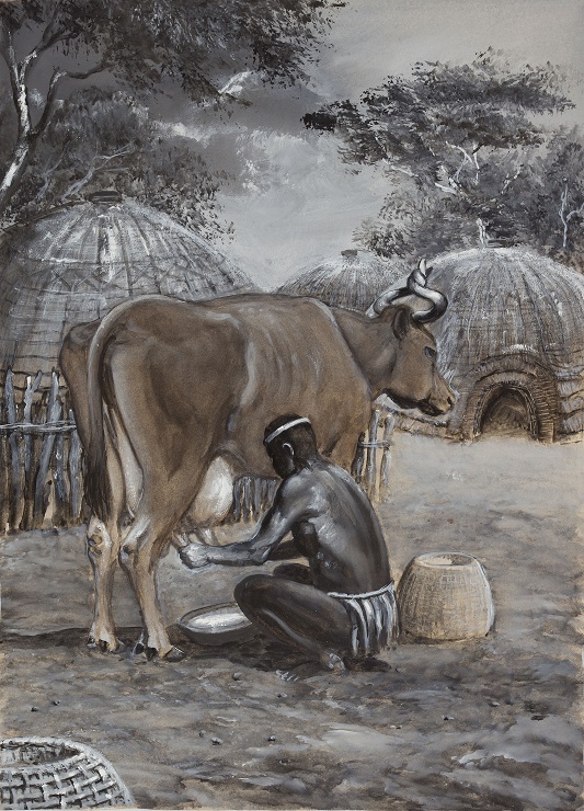 K typickým projevům ngunijské péče o dobytek byla estetická deformace býčích a kravských rohů. Každý vlastník usiloval o individuální vzhled svých oblíbených zvířat. Ilustrace Petr Modlitba.