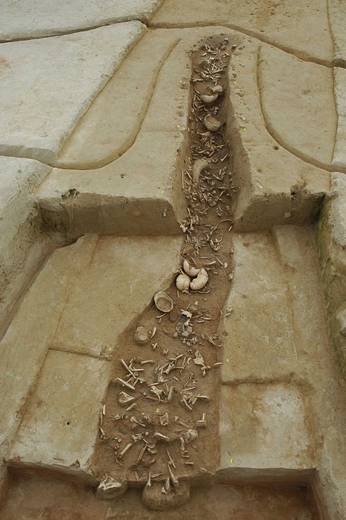 A view into one of the pits associated with the apparent trench in Herxheim where there is a concentration of human bones and fragments of pottery and parts of stone grinders, which have become the subject of their as yet unexplained deliberate destruction apparently during a special ritual (© GDKE, Direktion Landesarchäologie – Speyer).