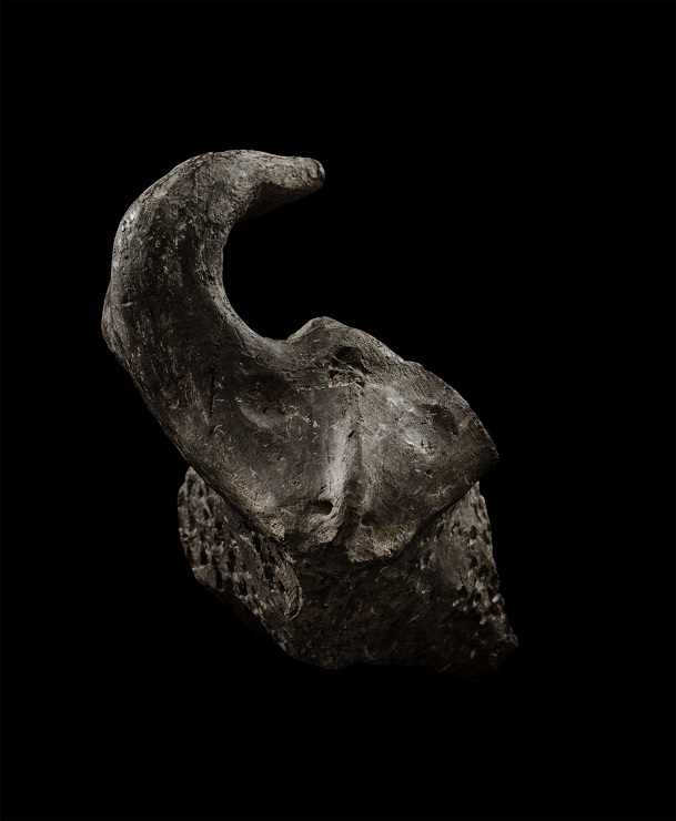 Část zoomorfní nádoby s hlavičkou býka (lokalita Kolín, datováno do mladší fáze kultury s vypíchanou keramikou). Foto O. Kačerovský.