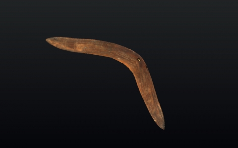 bumerang (480x300)